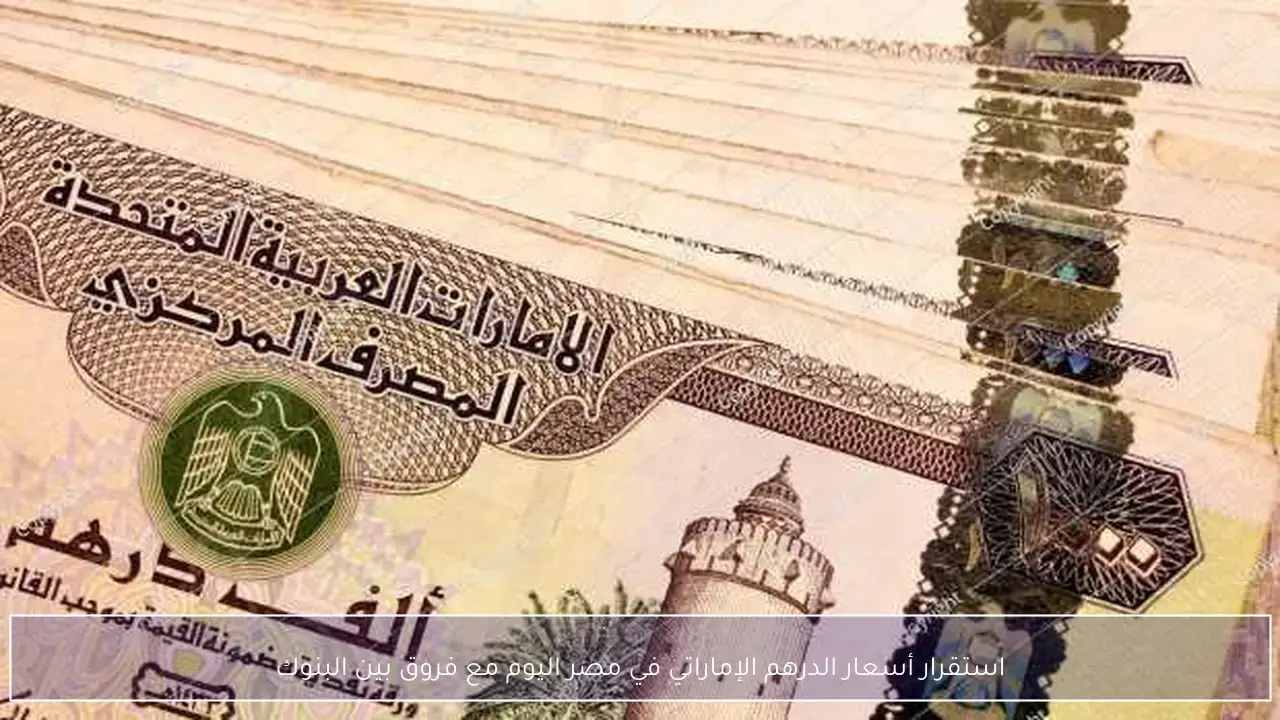 استقرار درهم الإمارات مقابل الجنيه المصري في البنوك اليوم